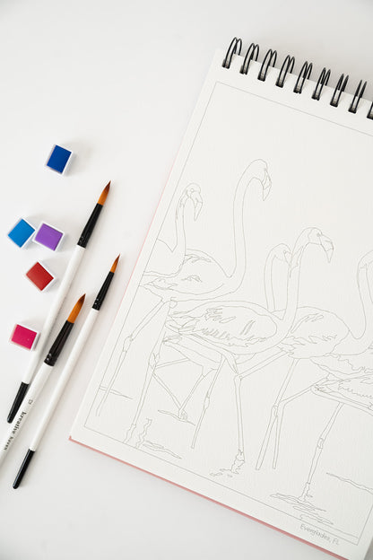 national parks watercolor book