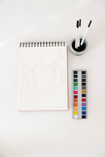 national parks watercolor book