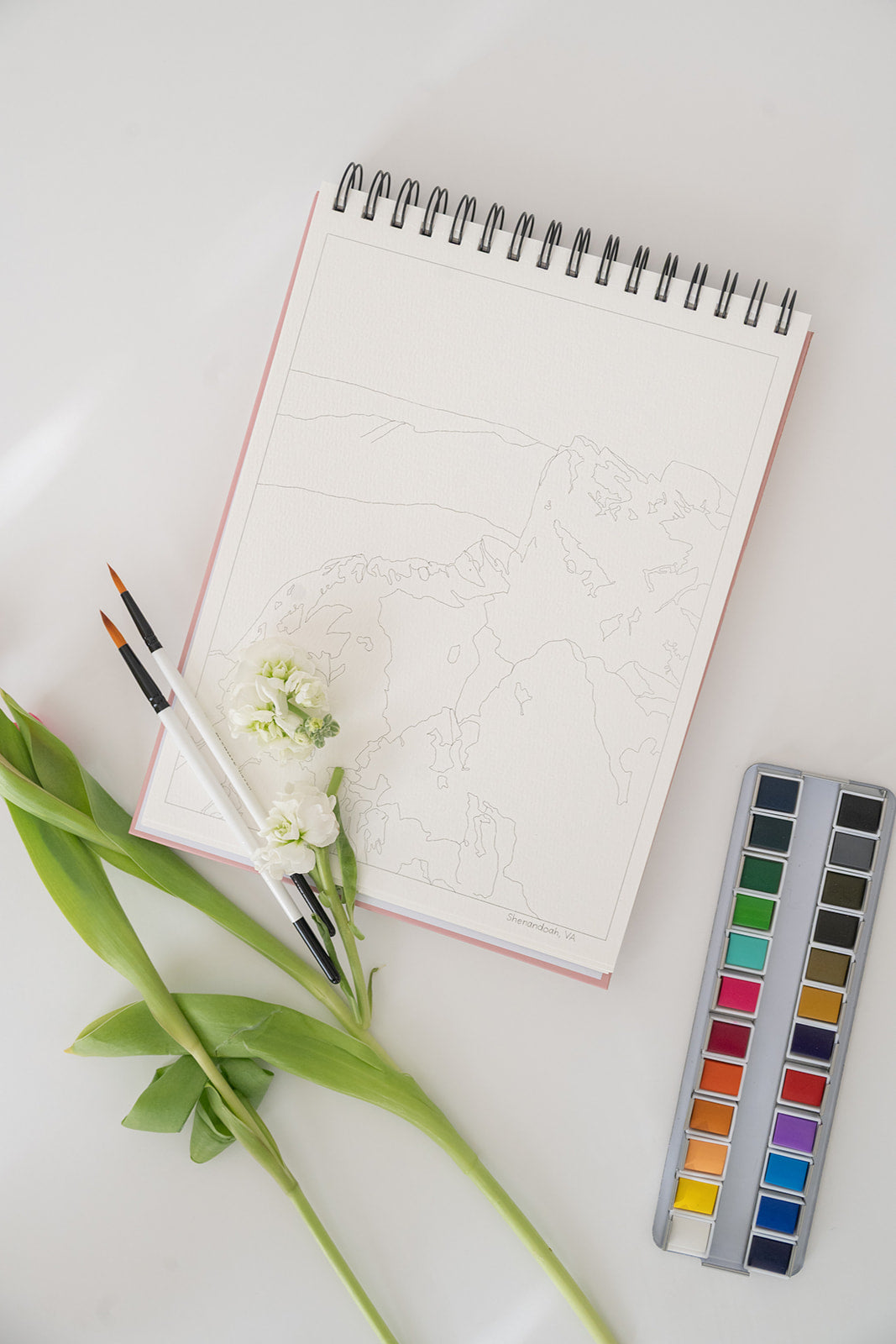 national parks watercolor book