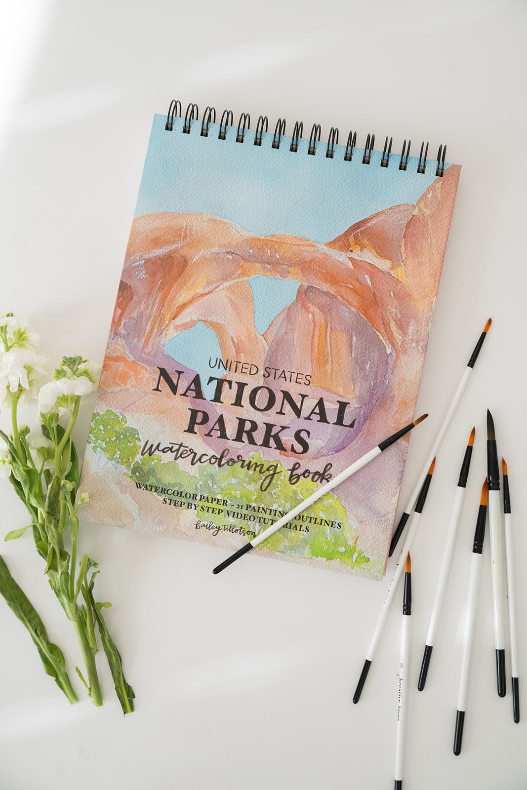 national parks watercolor book